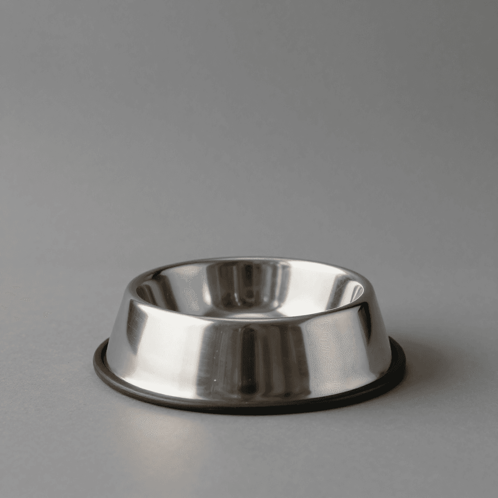 Stainless Steel Bowl